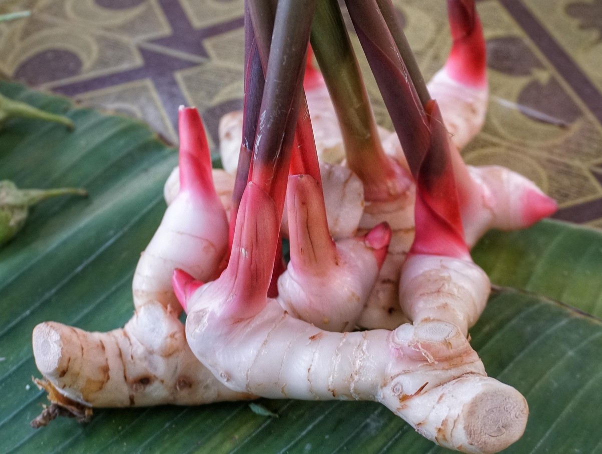 See pole imbir ega kurkum: see on salapärane Aasia vürts, mis reguleerib veresuhkrut, toetab tervist ja rikastab sinu kööki