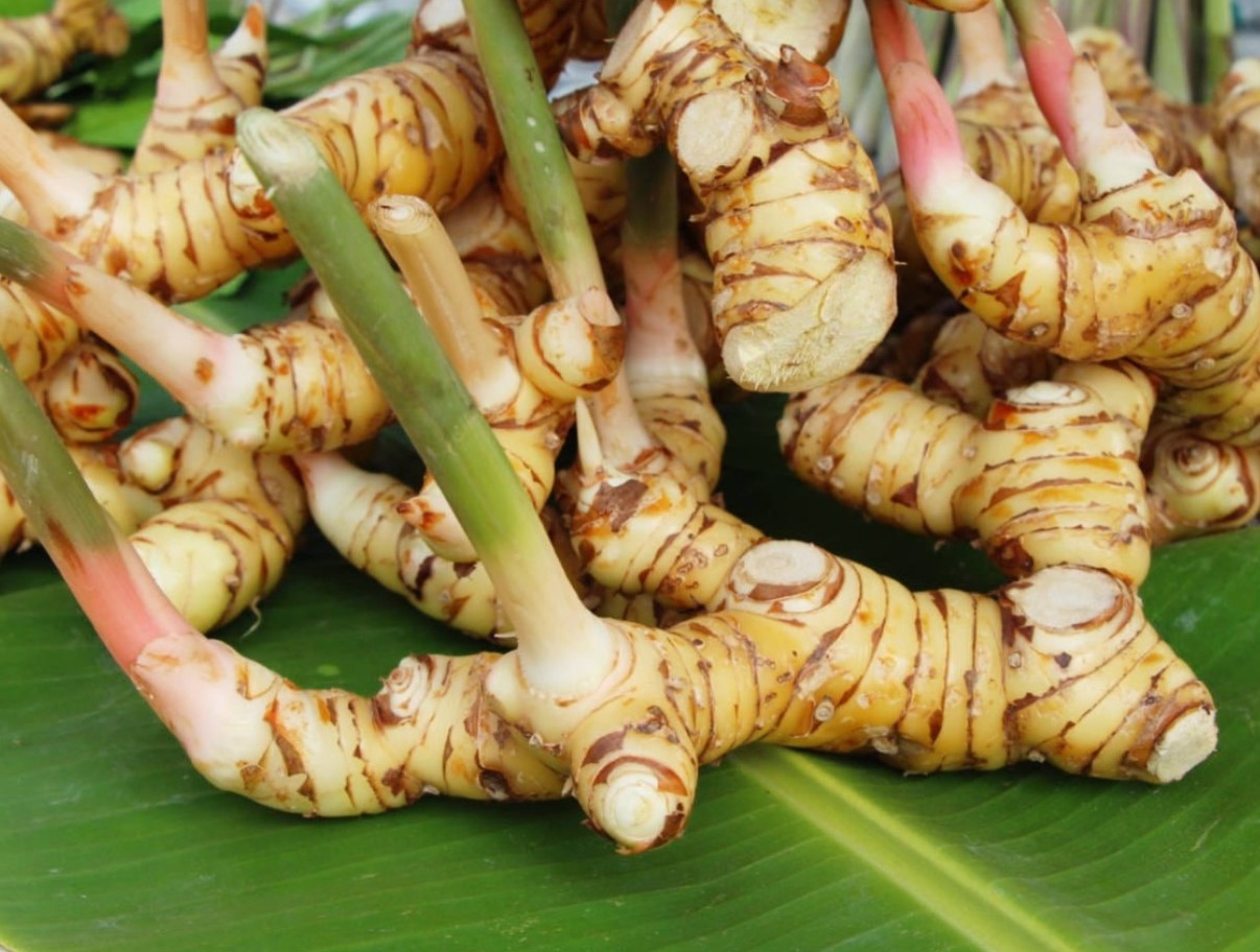 See pole imbir ega kurkum: see on salapärane Aasia vürts, mis reguleerib veresuhkrut, toetab tervist ja rikastab sinu kööki