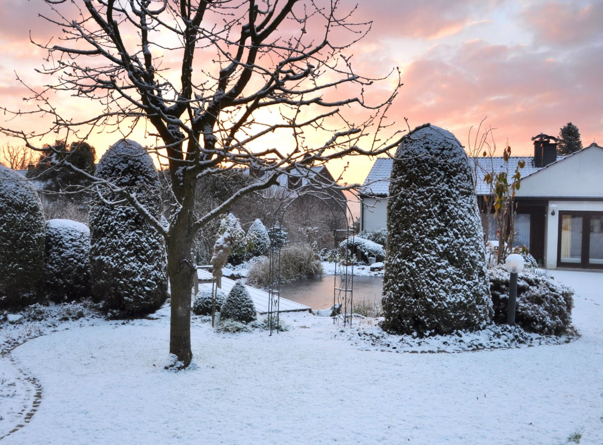 Lumi aias: millal on see taimedele kasulik ja millistelt põõsastelt tuleb see kohe maha pühkida