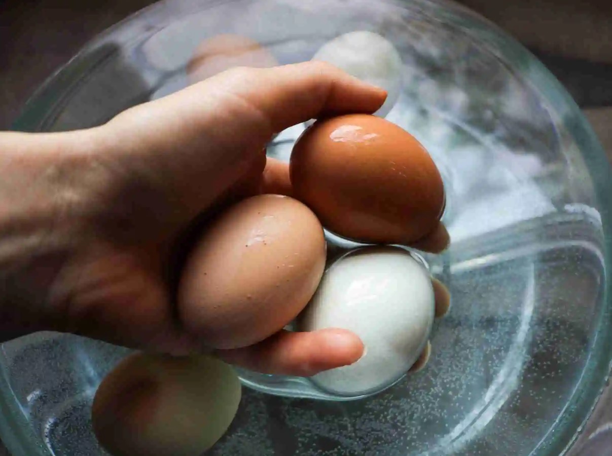 See, mida keegi sulle varem ei öelnud - ütleme hüvasti kahtlastele munadele: ootamatu munade värskuse test, mis võib päästa sinu hommikuse omleti ja päevaga seotud seiklused