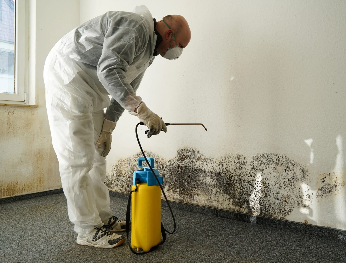 Must hallitus seintel? Iirimaa eluhäkk, mis töötab igas kodus