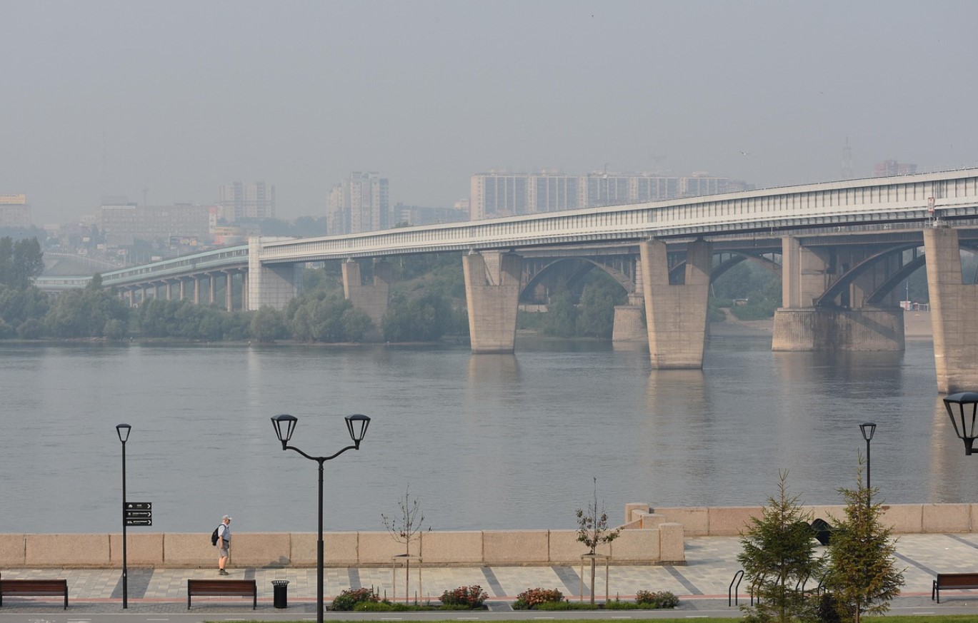 Vene sead, nüüd ametlikult: ideaalne doonorsiga ilmub peagi Venemaale