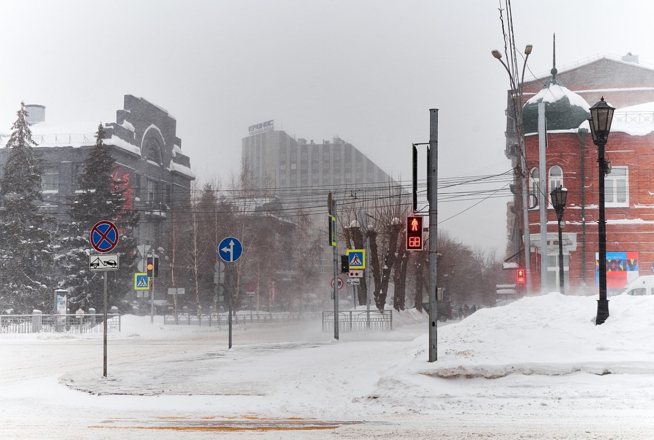 Vene sead, nüüd ametlikult: ideaalne doonorsiga ilmub peagi Venemaale