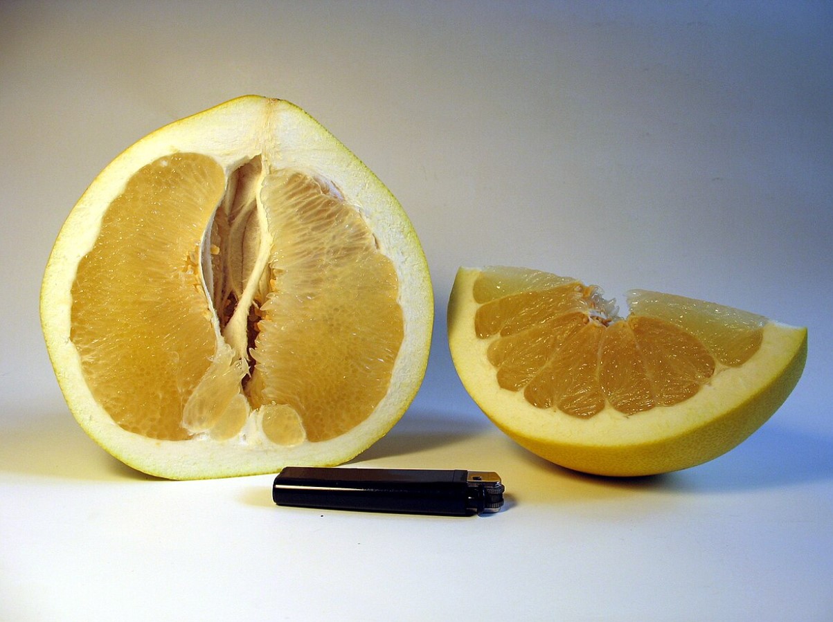 Seda on praegu sama palju kui mandariine, kuid me ostame seda harvem. See aitab kaalust alla võtta ja on hea diabeetikute jaoks.