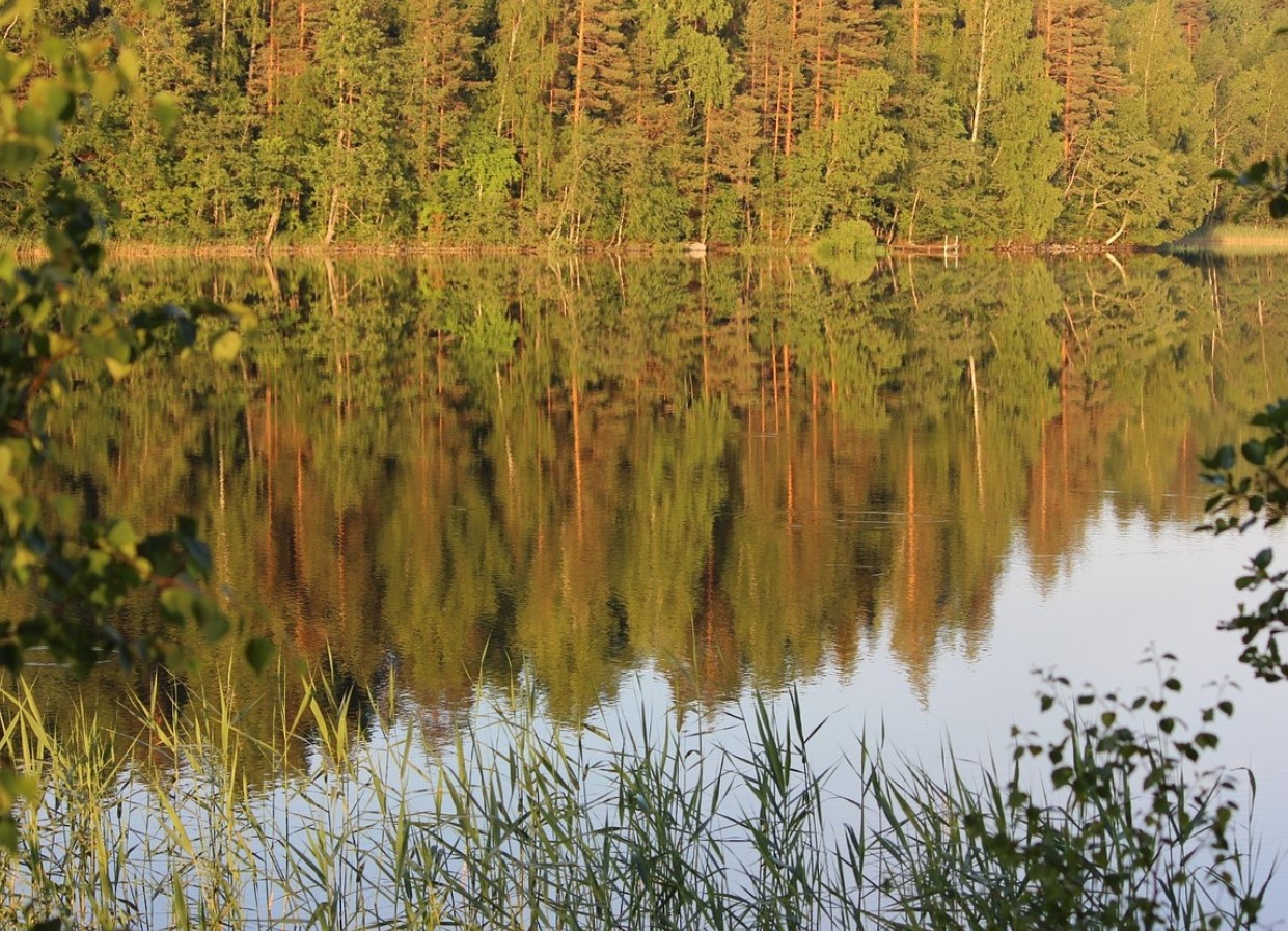 Saladused Saimaa ääres: miks see Euroopa suurte järvede kuningas uudistamist väärt on