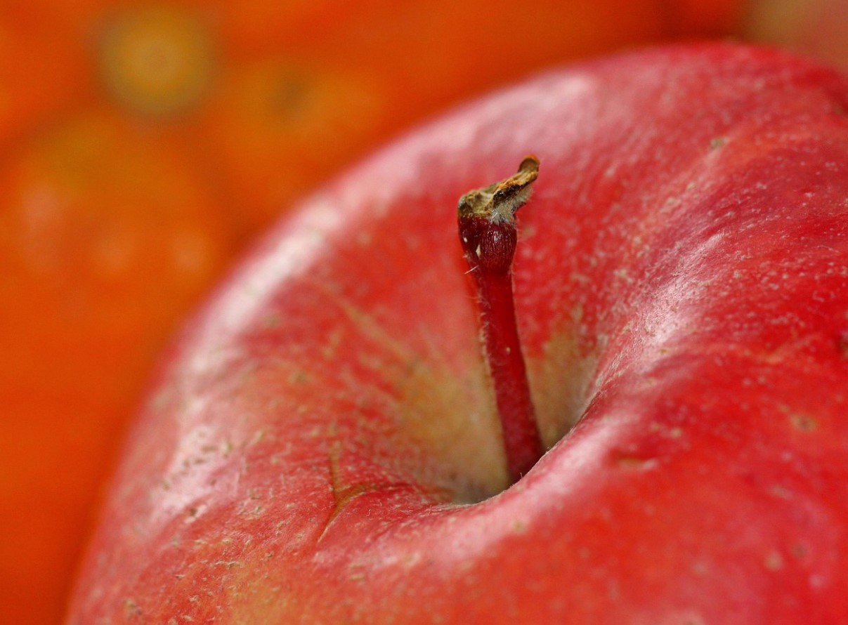 Miks vanaemad keetsid õunakoort ja miks me võiksime seda ka täna teha