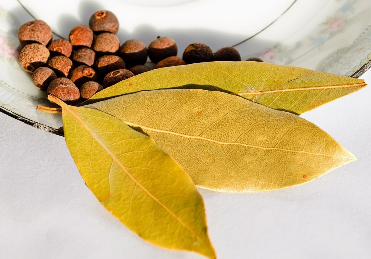 Üks loorberileht külmkappi ja probleem on lahendatud: vanaema trikk, mis töötab alati