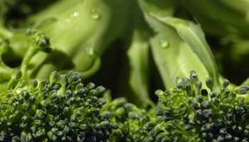 Uskumatu saladus: kuidas valmistada brokkolit nii, et selle väärtuslikud antioksüdandid ja vitamiinid ei kaoks taldrikule!