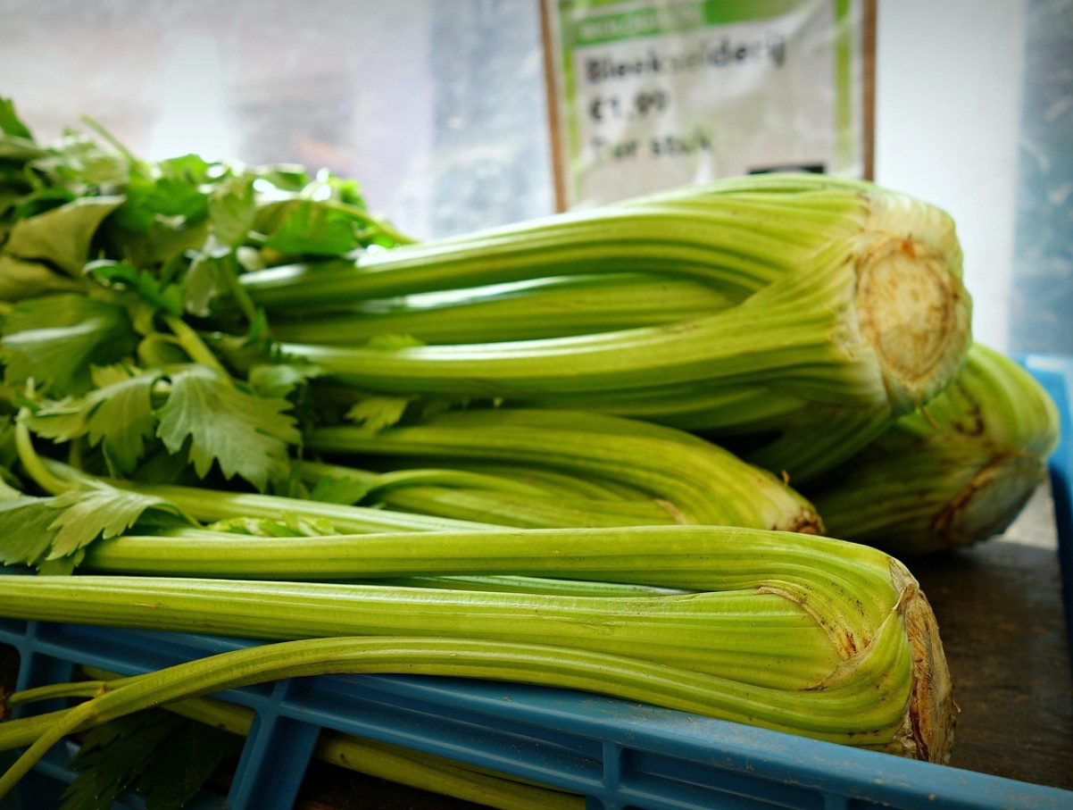 Peidetud saladus aias: miks seller ei õitse, kuni sa seda õigesti ei alusta