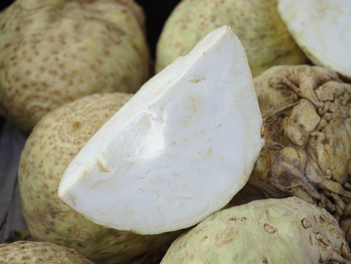 Peidetud saladus aias: miks seller ei õitse, kuni sa seda õigesti ei alusta