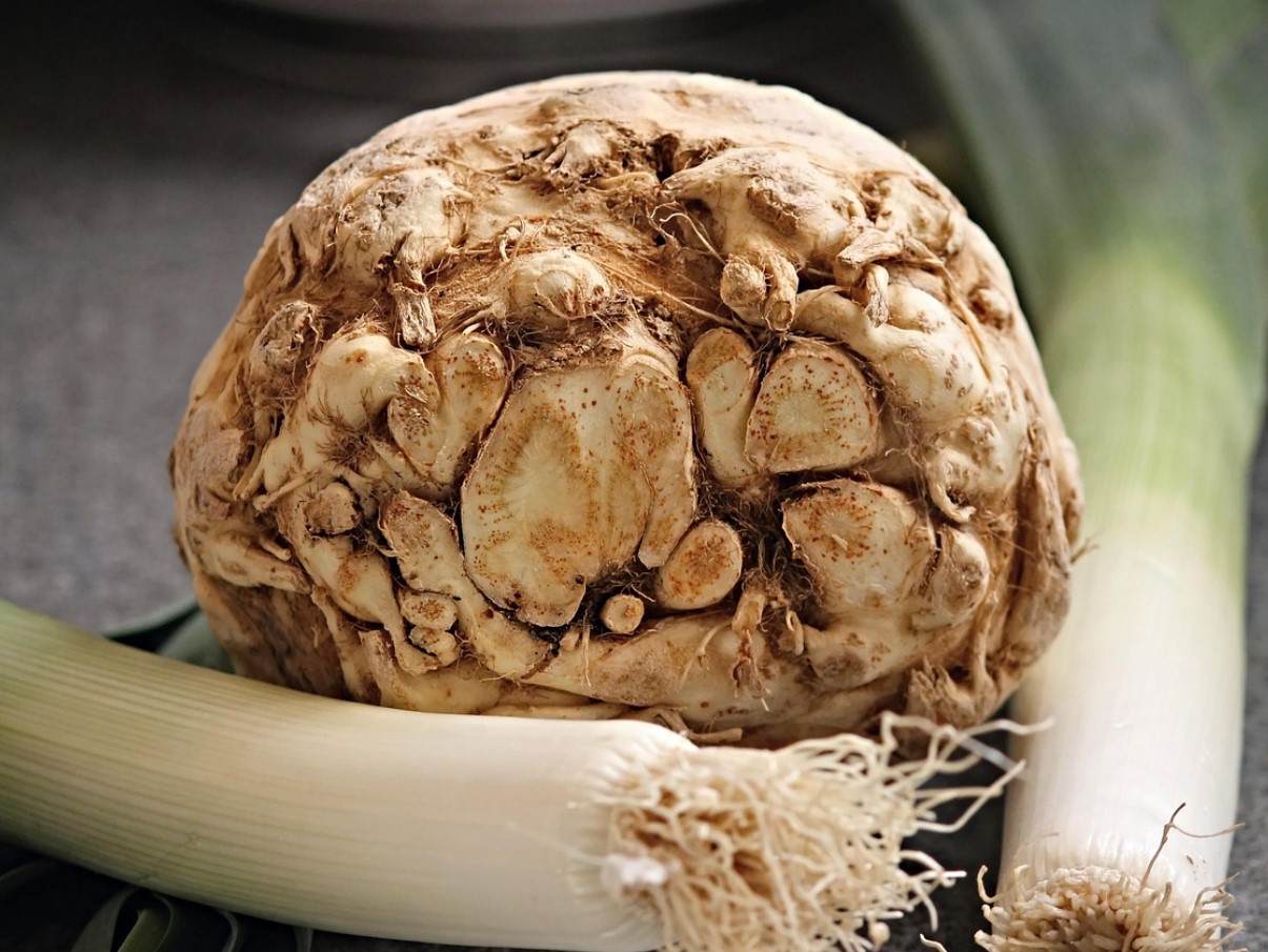 Peidetud saladus aias: miks seller ei õitse, kuni sa seda õigesti ei alusta