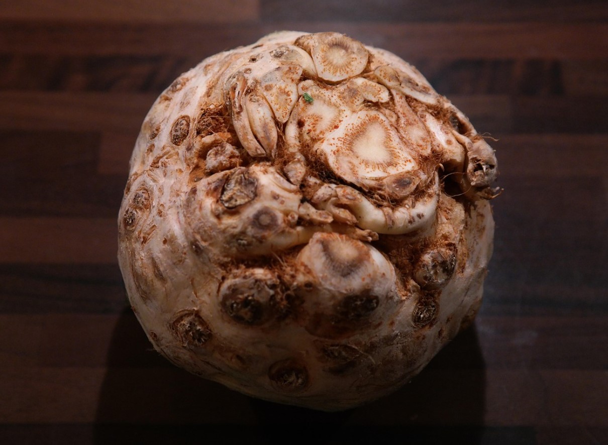 Peidetud saladus aias: miks seller ei õitse, kuni sa seda õigesti ei alusta