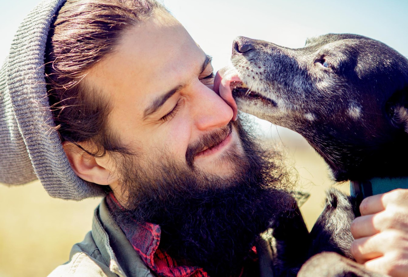 Miks sinu koer sind lakub ja kas see on ohutu või peidab endas saladusi, mida iga omanik peaks teadma