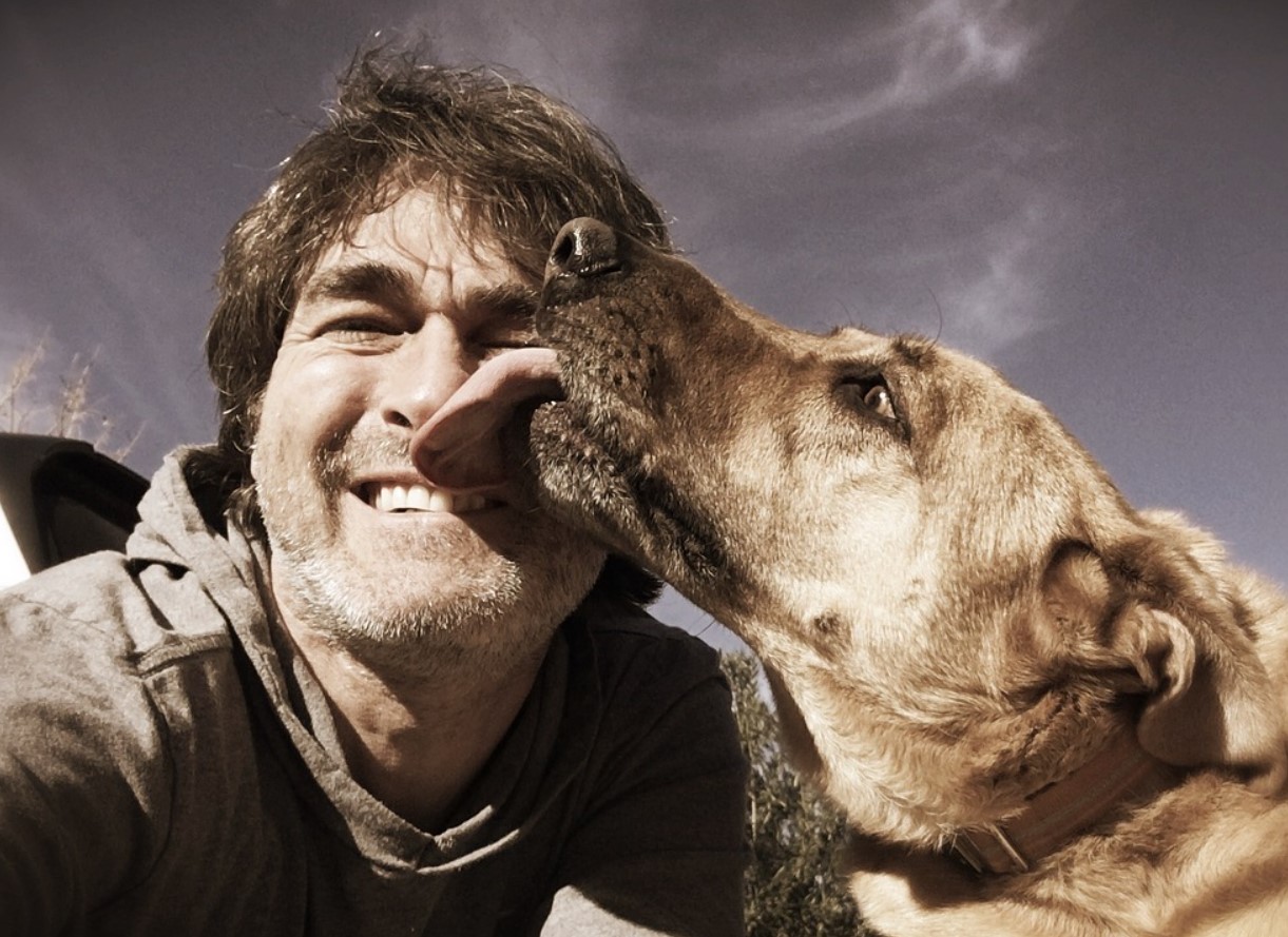 Miks sinu koer sind lakub ja kas see on ohutu või peidab endas saladusi, mida iga omanik peaks teadma