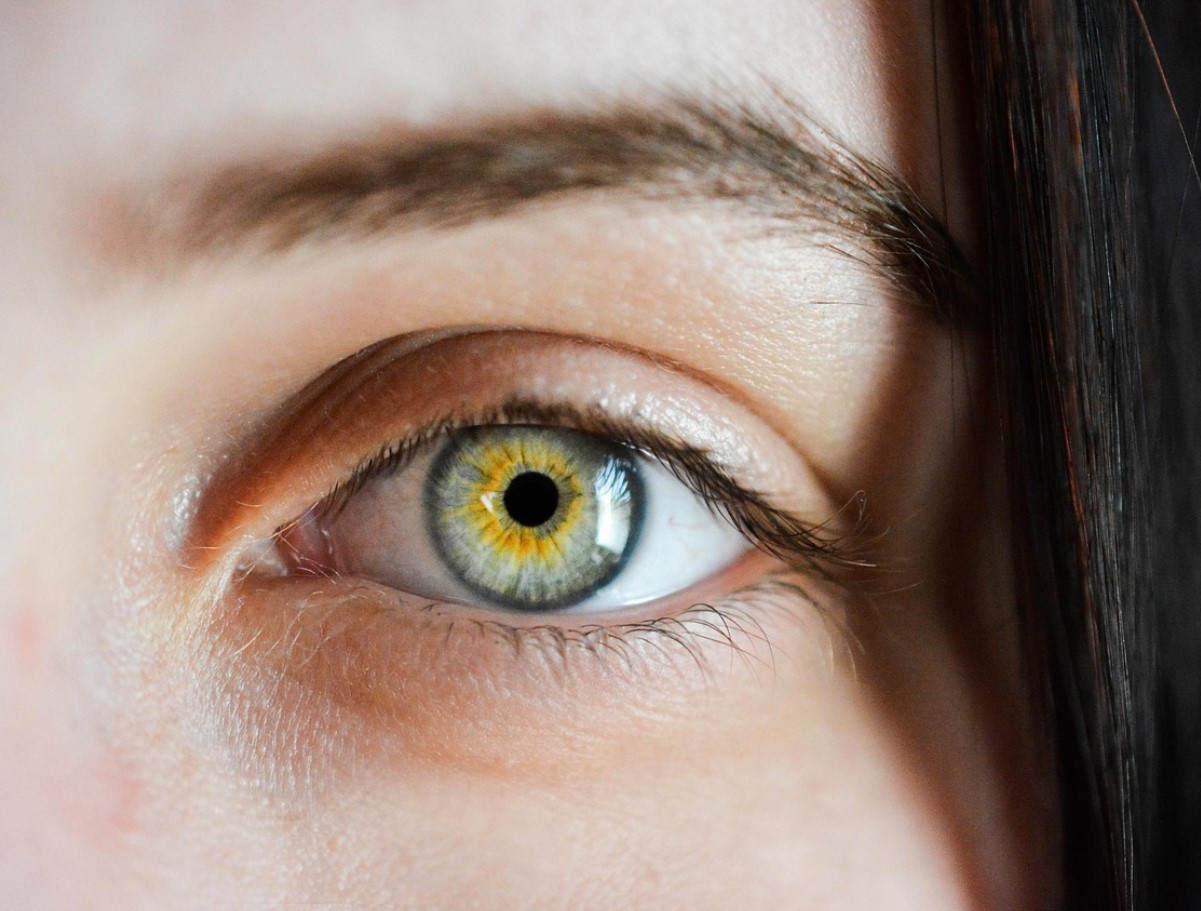 Kas 2026. aasta täpselt sinu kulmudele sobib? Uued trendid, mis võivad su näo täielikult muuta - mõni neist võib sind üllatada!