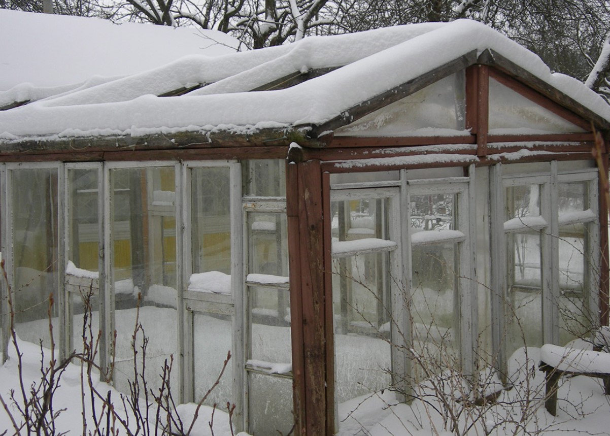 See talvine nipp võib tunduda kummaline, kuid paljude aiapidajate sõnul see toimib: kuidas lumi ise ära kaob ilma polükarbonaati kriipimata