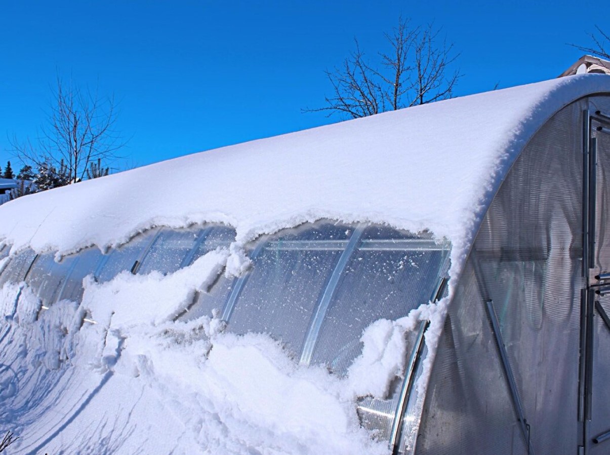 See talvine nipp võib tunduda kummaline, kuid paljude aiapidajate sõnul see toimib: kuidas lumi ise ära kaob ilma polükarbonaati kriipimata