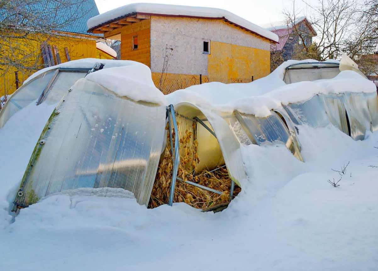 See talvine nipp võib tunduda kummaline, kuid paljude aiapidajate sõnul see toimib: kuidas lumi ise ära kaob ilma polükarbonaati kriipimata