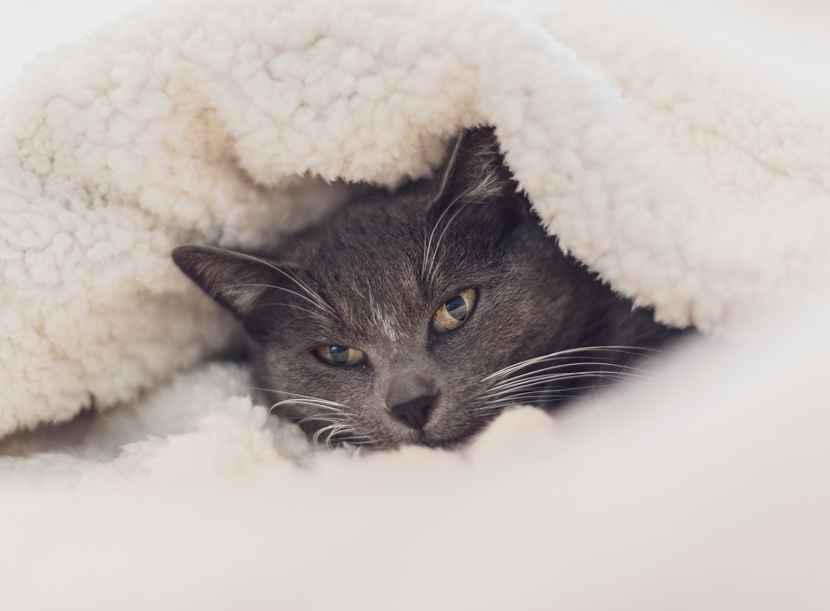 Unusta „19 °C reegel”: see on tegelik kodu temperatuur, kus tunned end hästi ja säästad raha