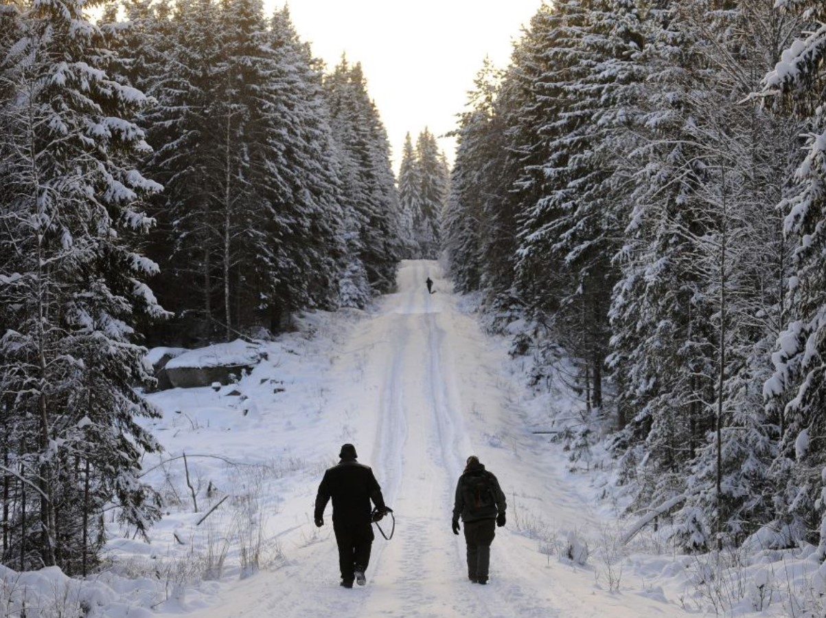 Uus ettepanek võib muuta huntide jahipidamist lihtsamaks: miks see teema on nii tuliselt arutusel?