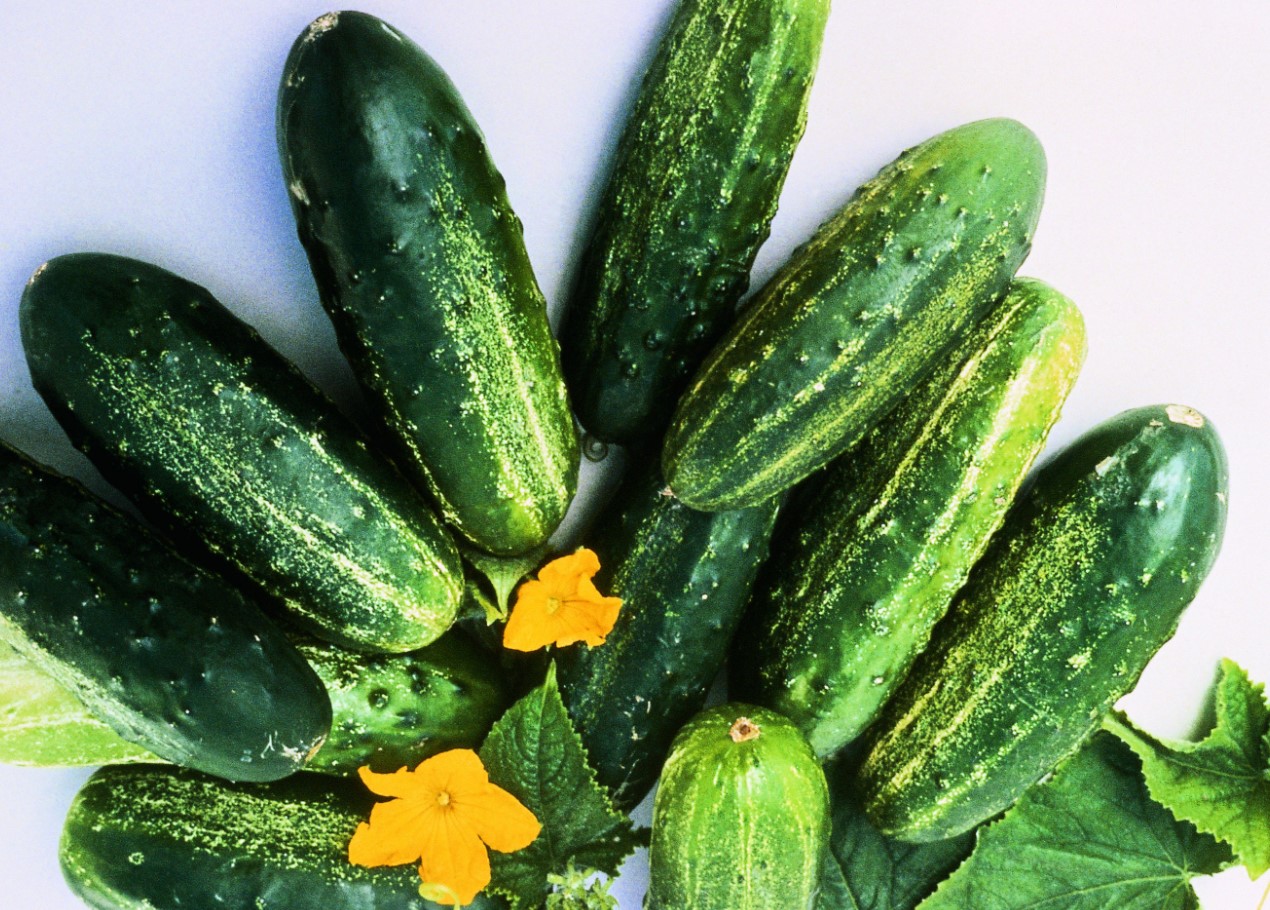 Kas su kurk ei anna üllatavalt saaki või läheb ta iga suvi lihtsalt halliks ja haigeks?