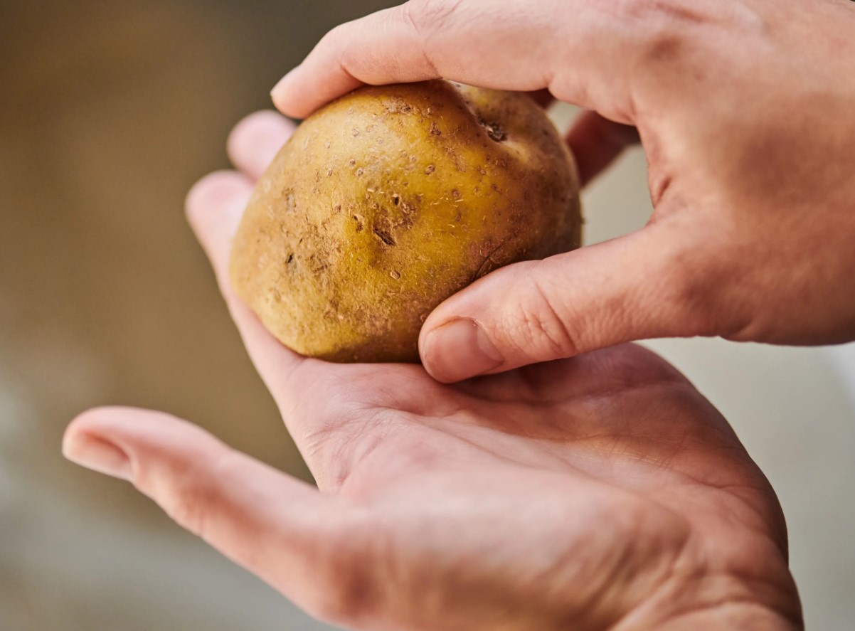 Lõpuks leitud nipp, mis võtab küüslaugu lõhna kätelt päriselt ära