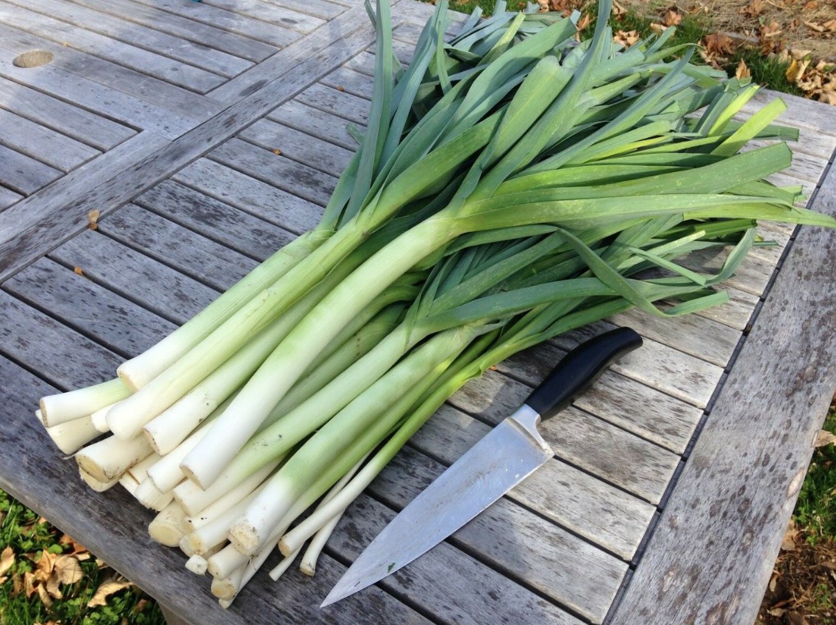 See talvine köögivili teeb immuunsusele imet