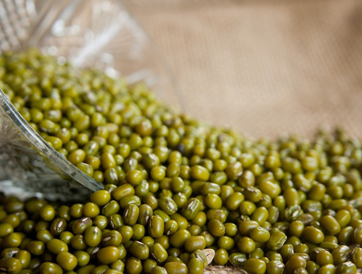 Kergesti seeditavad, sobivad diabeetikutele ja dieedipidajatele. Väikesed oad, mille mõju üllatab