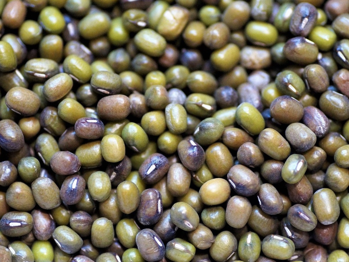 Kergesti seeditavad, sobivad diabeetikutele ja dieedipidajatele. Väikesed oad, mille mõju üllatab