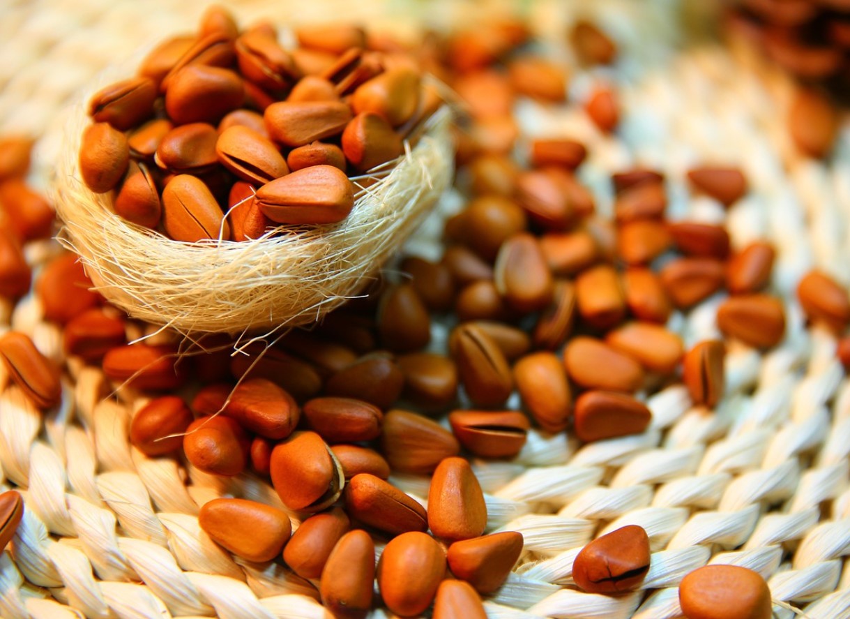 Peotäis pähkleid päevas? Väike harjumus, mis võib muuta enesetunnet rohkem, kui arvad