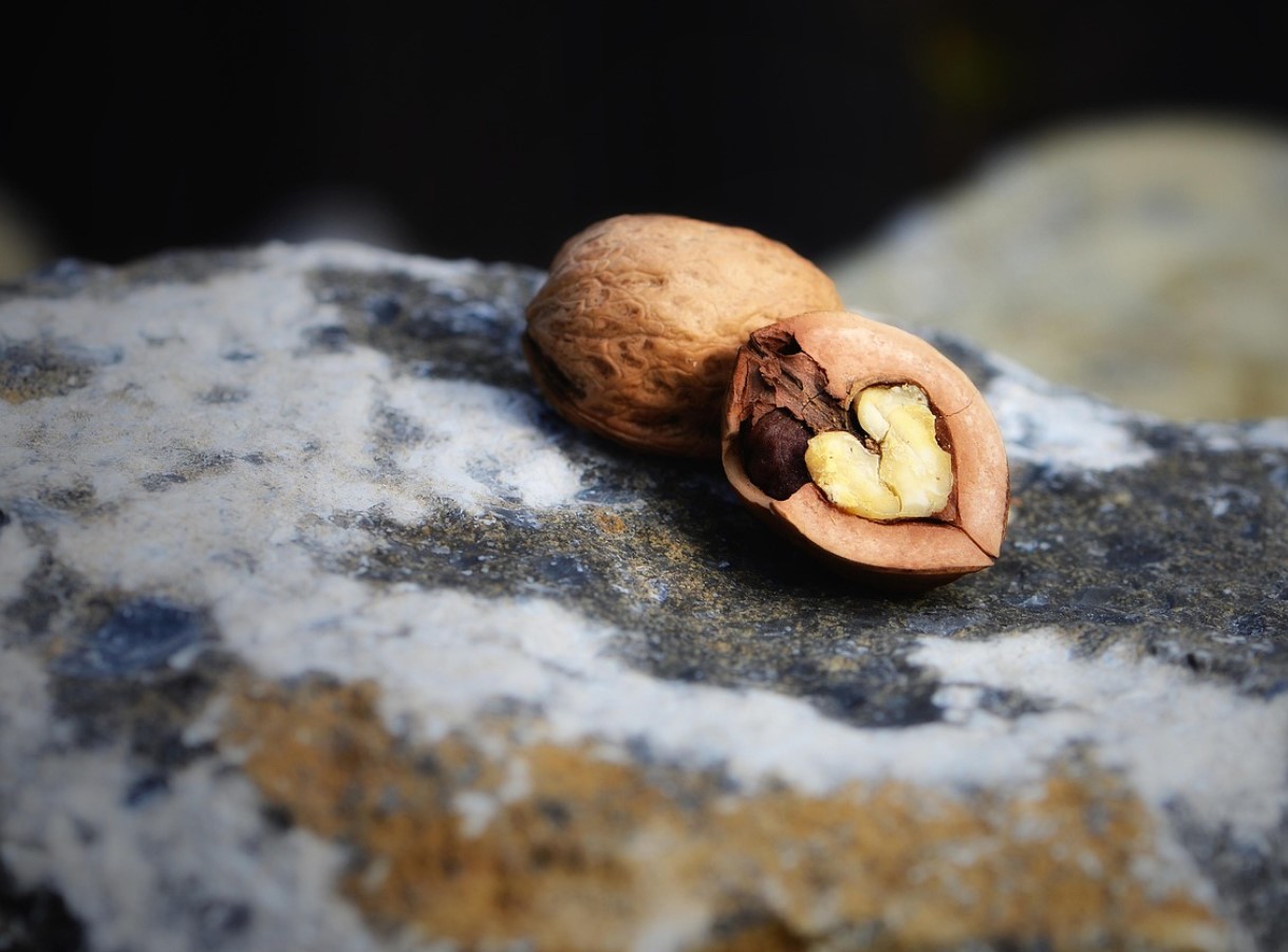 Peotäis pähkleid päevas? Väike harjumus, mis võib muuta enesetunnet rohkem, kui arvad