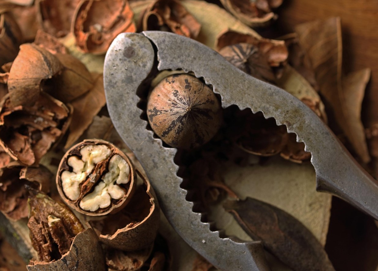 Peotäis pähkleid päevas? Väike harjumus, mis võib muuta enesetunnet rohkem, kui arvad