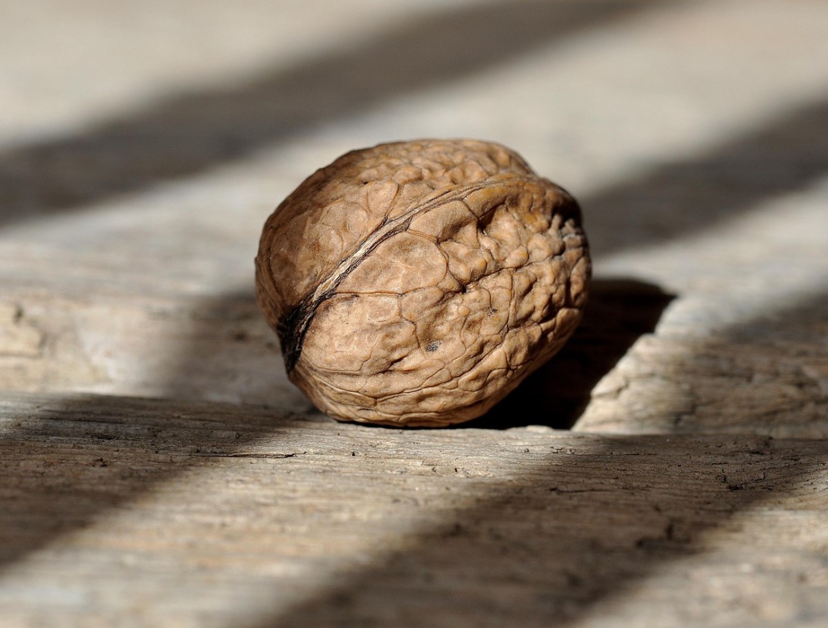 Peotäis pähkleid päevas? Väike harjumus, mis võib muuta enesetunnet rohkem, kui arvad