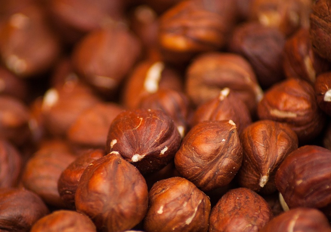 Peotäis pähkleid päevas? Väike harjumus, mis võib muuta enesetunnet rohkem, kui arvad