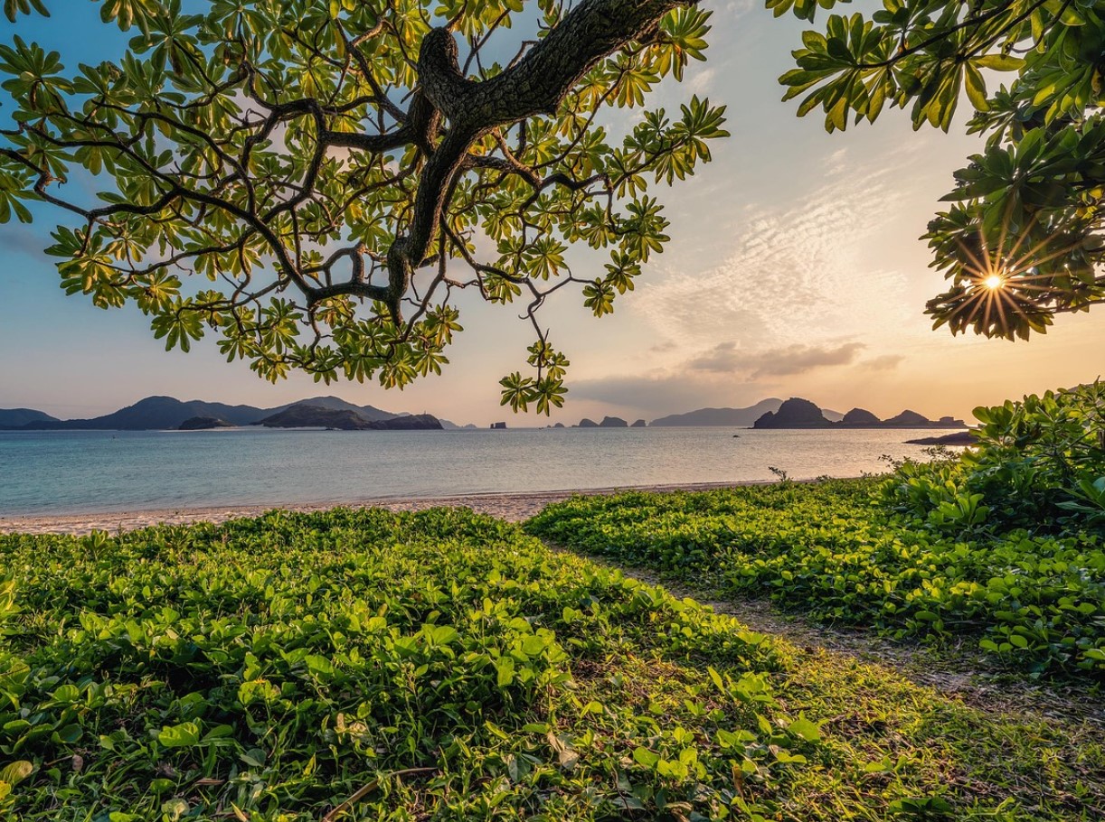 10 jaapanlaste saladust, mis teevad su elu pikemaks ja rõõmsamaks: Japanist Okiinawasse - tõsi lugu igapäevaõnnest