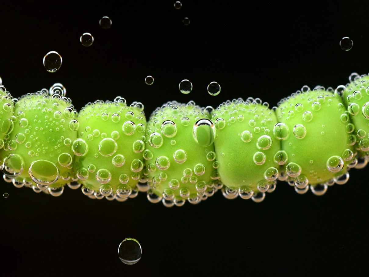 Puhas ja tervislik valk. Aitab kaalu kontrollida ning toetab südame ja neerude tööd