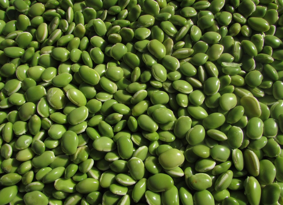 Taimne valk teeb kehale rohkem head, kui arvatakse