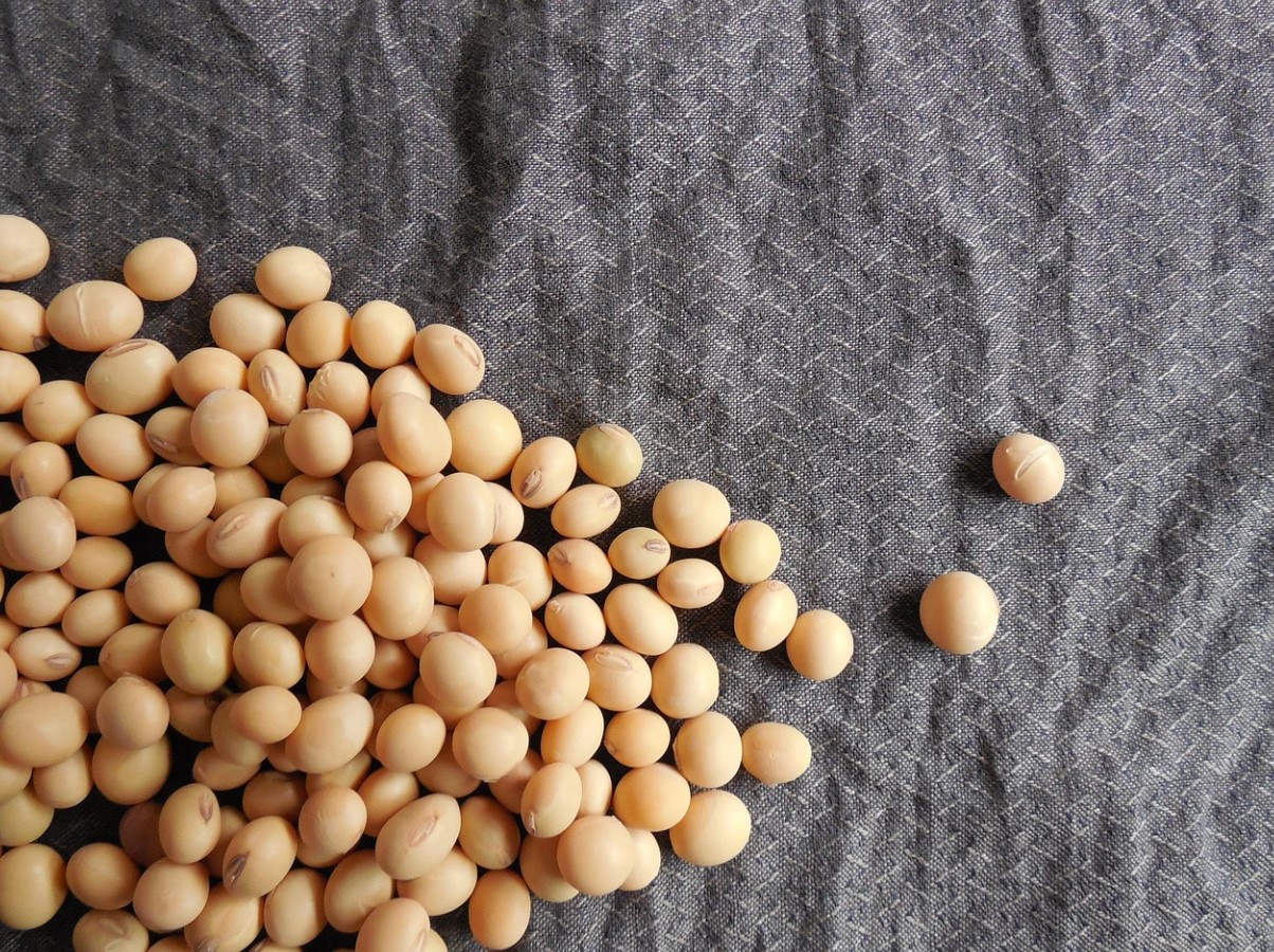 Taimne valk teeb kehale rohkem head, kui arvatakse