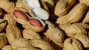 Taimne valk teeb kehale rohkem head, kui arvatakse