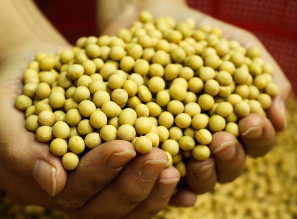 Kas see populaarne toode võib vähendada potentsi? Siin on teadlaste väited.