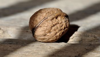 Kas kreeka pähkleid võib süüa kaalulangetamisel - ega see pole mingi trikk, vaid päriselt kasulik ja isegi maitsev valik, mis võib sind üllatada