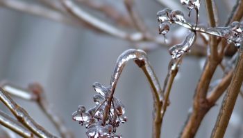 Talvine kastmine, mida paljud alahindavad