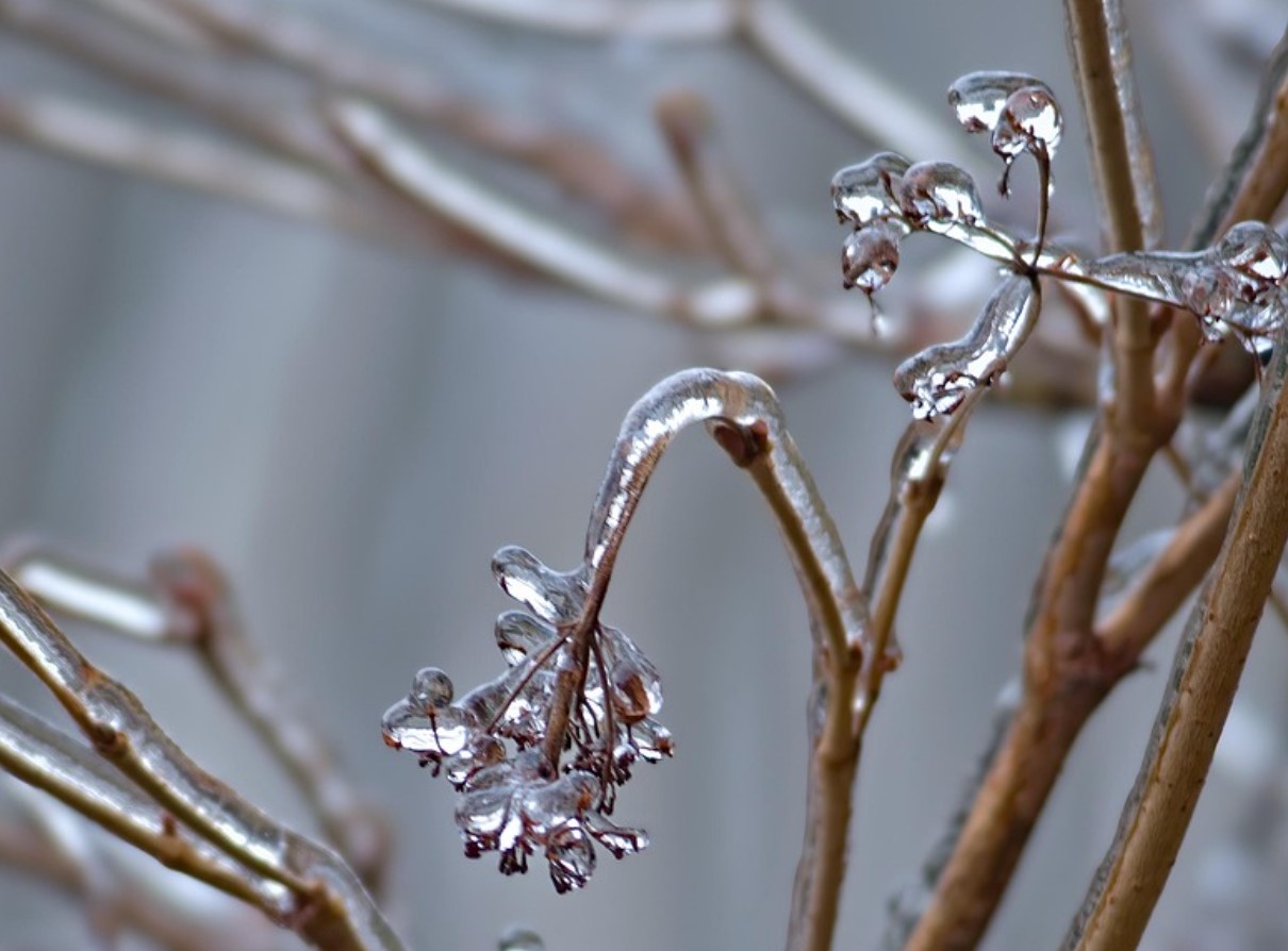 Talvine kastmine, mida paljud alahindavad