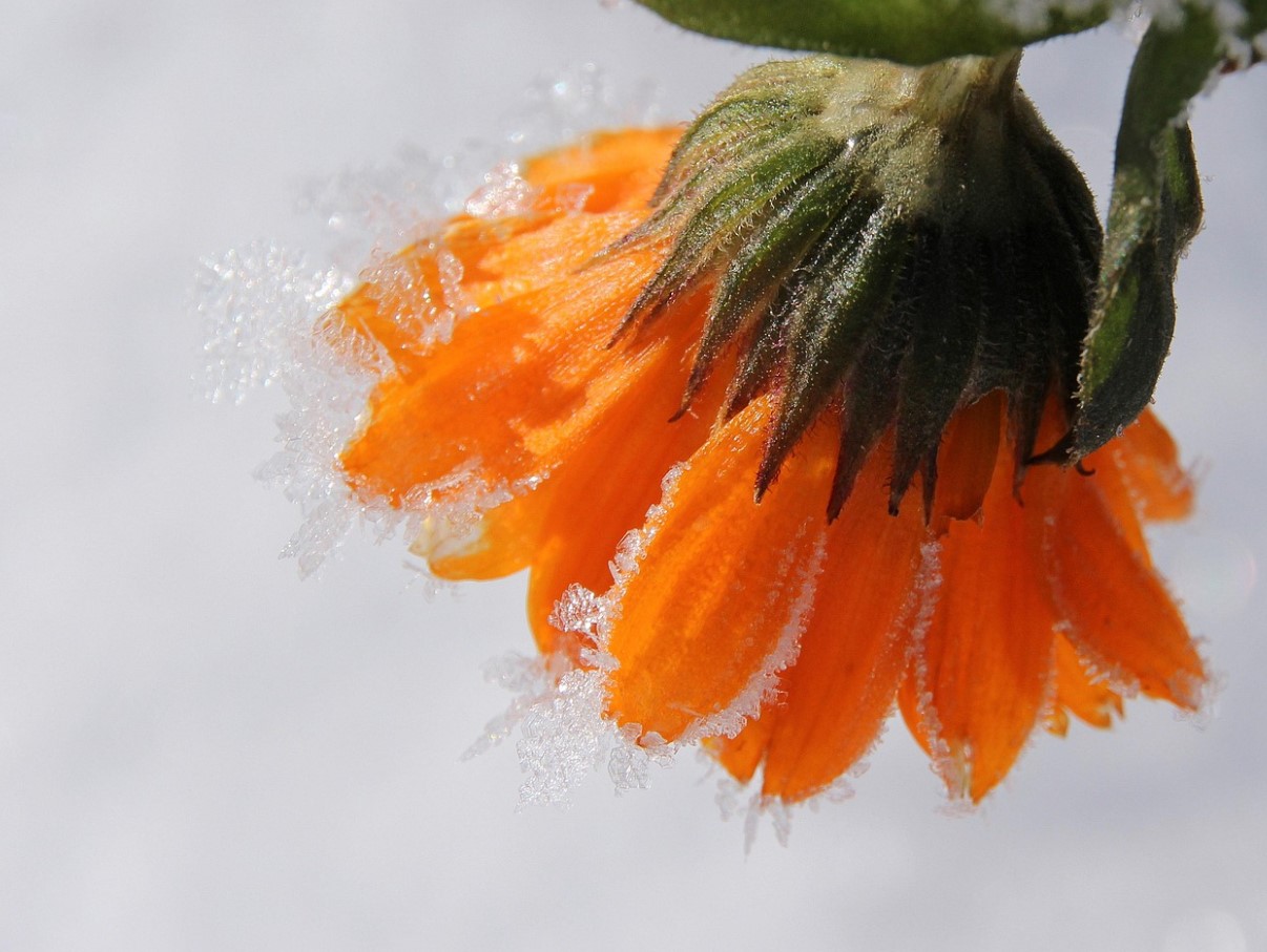 See aiaomaniku kalender ütleb selgelt: tee nüüd seda, kui tahad, et su saak oleks päriselt rikkalik