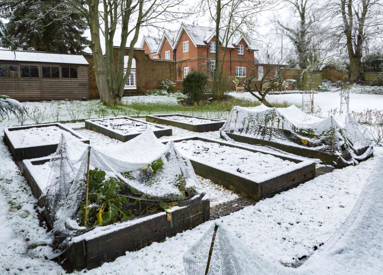 See aiaomaniku kalender ütleb selgelt: tee nüüd seda, kui tahad, et su saak oleks päriselt rikkalik
