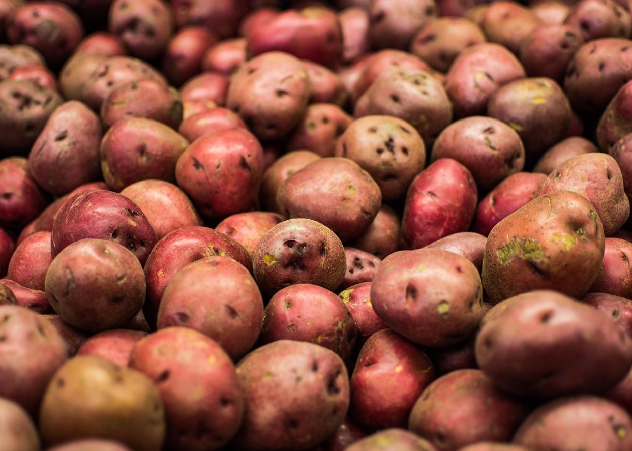 Minu kartulid säilivad kevadeni ja ei idane: vanaema trikk keldris, mis tõesti töötab
